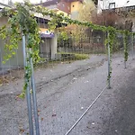Edelweiss Lägenhet *